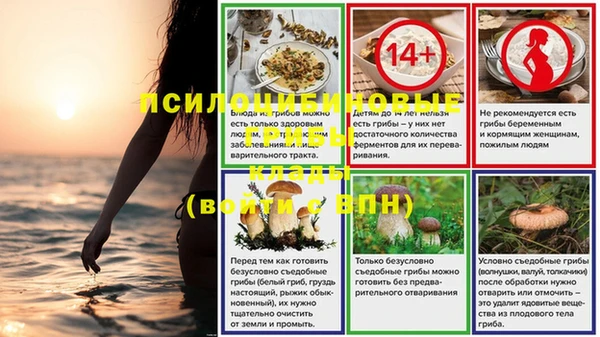 mix Пересвет