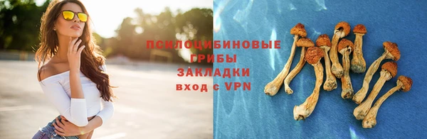 mix Пересвет