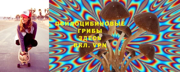 винт Переславль-Залесский
