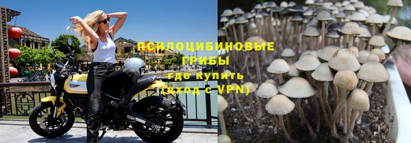 mix Пересвет