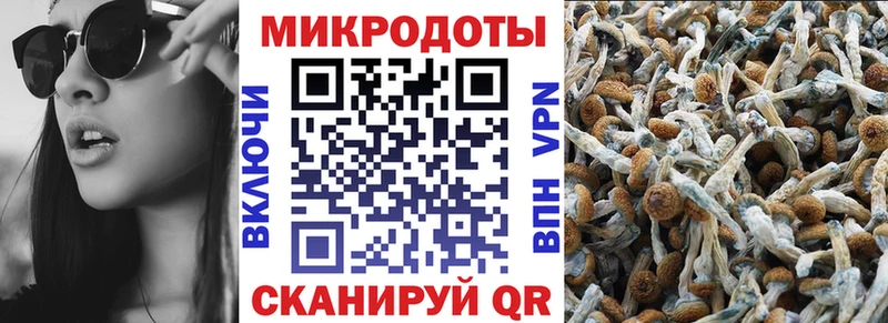 Галлюциногенные грибы GOLDEN TEACHER  маркетплейс клад  Коряжма 