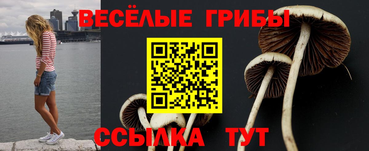 Галлюциногенные грибы Cubensis  Вход с VPN  Псилоцибиновые грибы Cubensis  Коряжма 